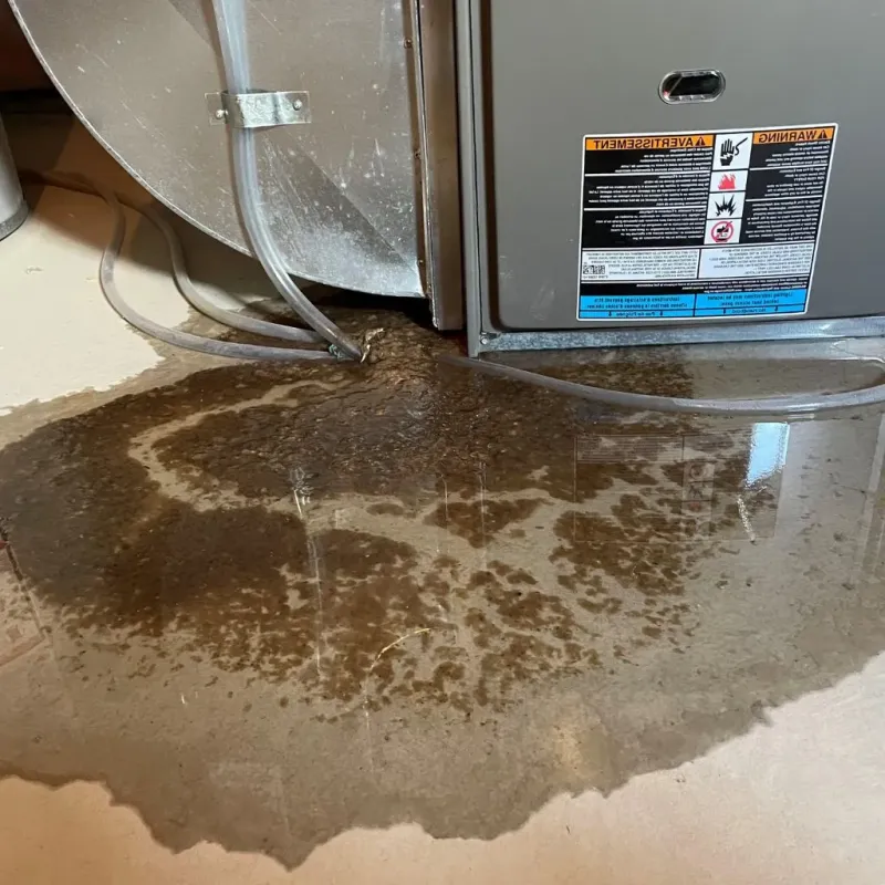 Pipe Burst and Leak Restoration in Ainsworth, NE